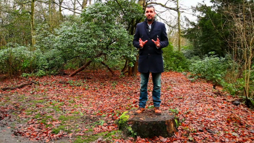 Video Invloed van de Mens op het Bos! - Natuurwetenschappen 1ste graad A