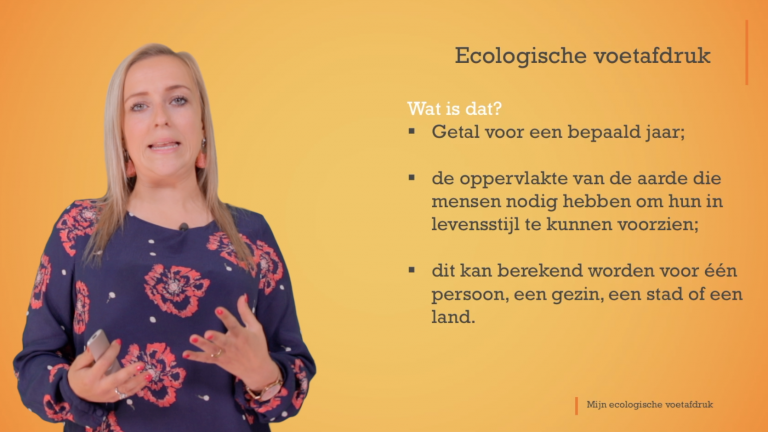 De ecologische voetafdruk