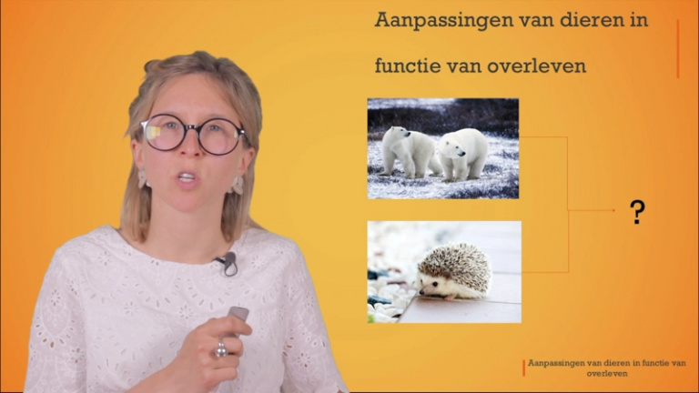 Hoe proberen dieren te overleven in hun omgeving? Ze passen zich aan.