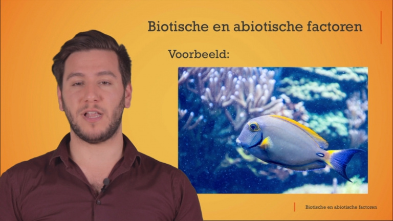 Wat zijn biotische en abiotische factoren? Hier een paar voorbeelden.